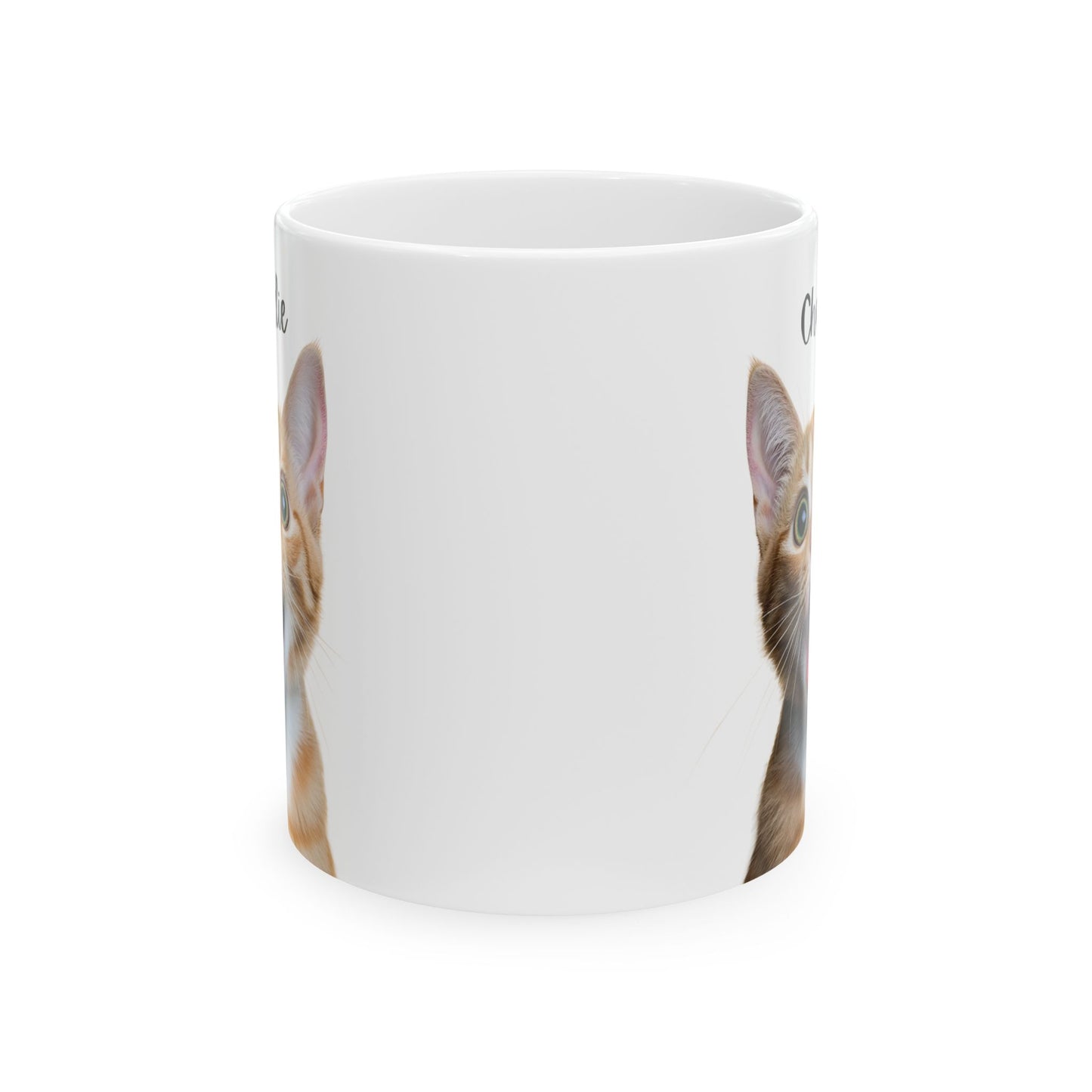 Cute Cat Ceramic Mug, Funny Pet Lover Gift, Cat Mom Coffee Cup, Animal Lover Mug, Personalized Drinkware - 14193