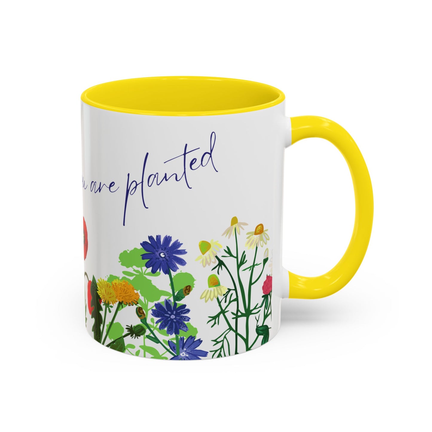 Bloom Where You Are Planted - Accent Coffee Mug (11, 15oz) - 10895