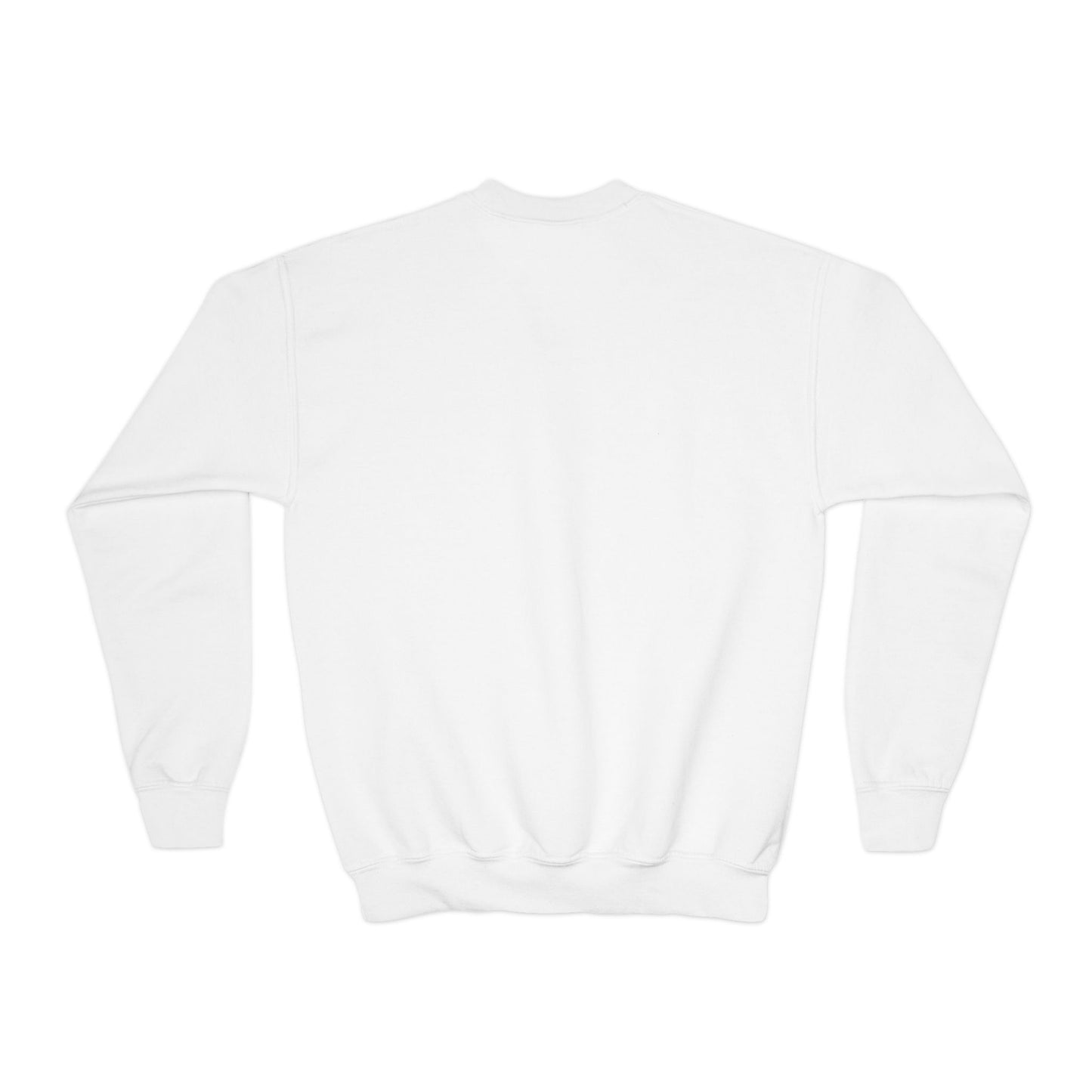 Trick or Treat - Youth Crewneck Sweatshirt