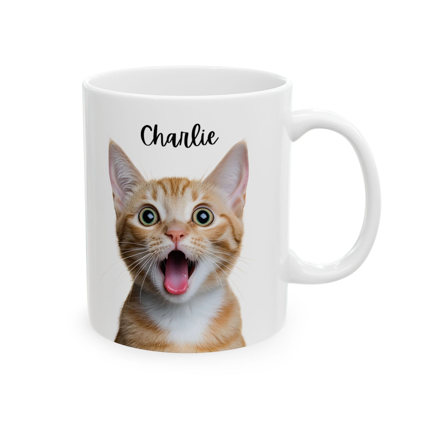 Cute Cat Ceramic Mug, Funny Pet Lover Gift, Cat Mom Coffee Cup, Animal Lover Mug, Personalized Drinkware - 14193
