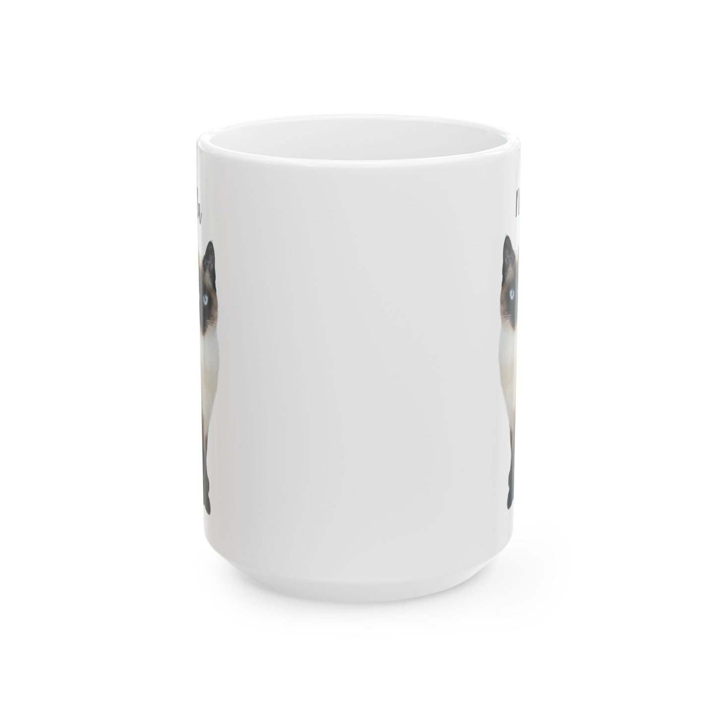 Ceramic Cat Mug, Cute Cat Coffee Cup, Pet Lover Gift, Animal Lover Mug, Funny Cat Lover Present - 14205