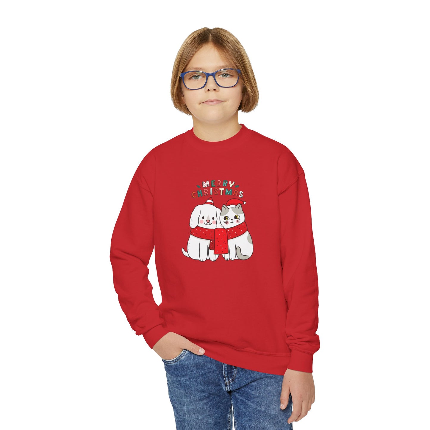 Two Cats, Merry Christmas - Youth Crewneck Sweatshirt - 10272