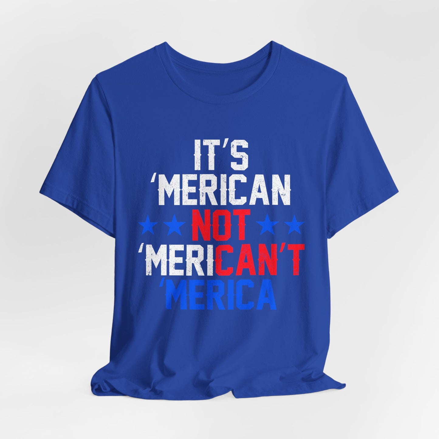 Patriotic Humor Tee, American Pride Shirt, Fun Casual Wear, Gift for Independence Day, Stylish Comfy T-Shirt - 13493