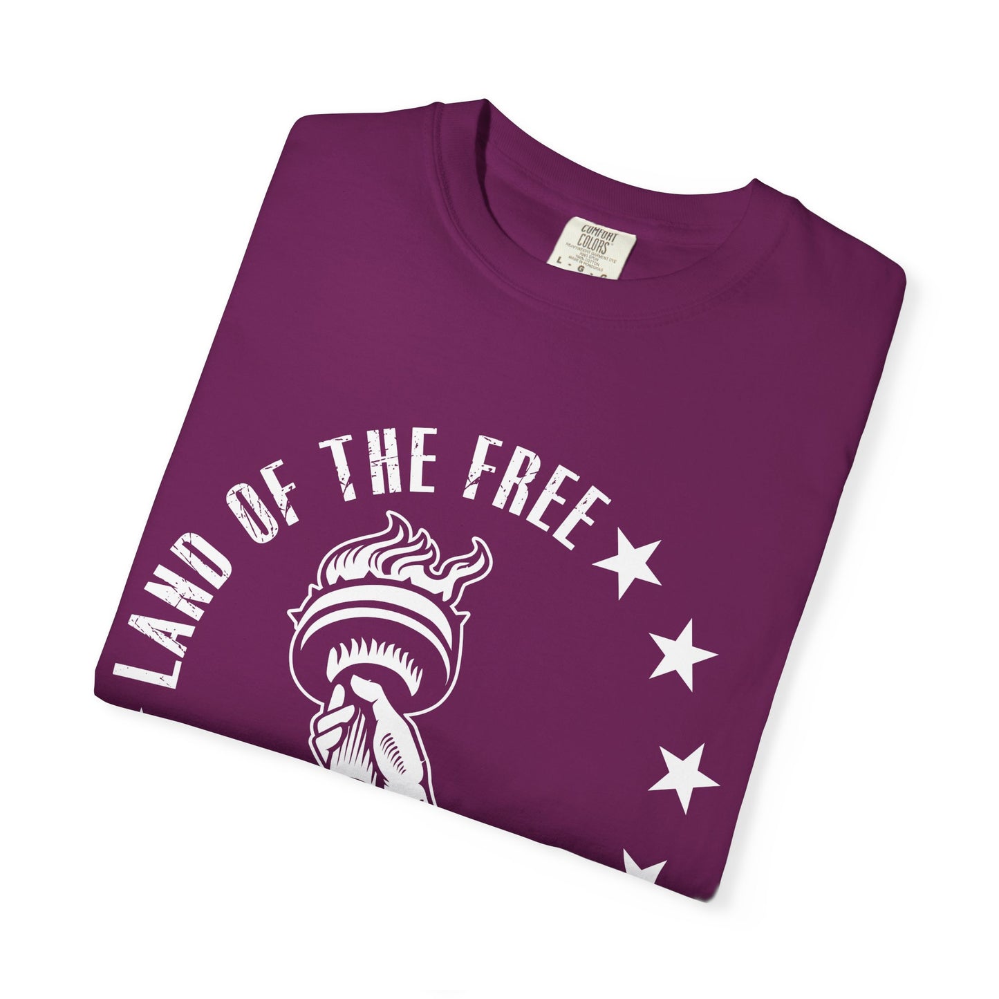 Land Of the Free Graphic T-Shirt, Casual Wear for Independence Day, Gift for Freedom Lovers, Unisex Tee for Everyday Style, Comfort and Style - 13640