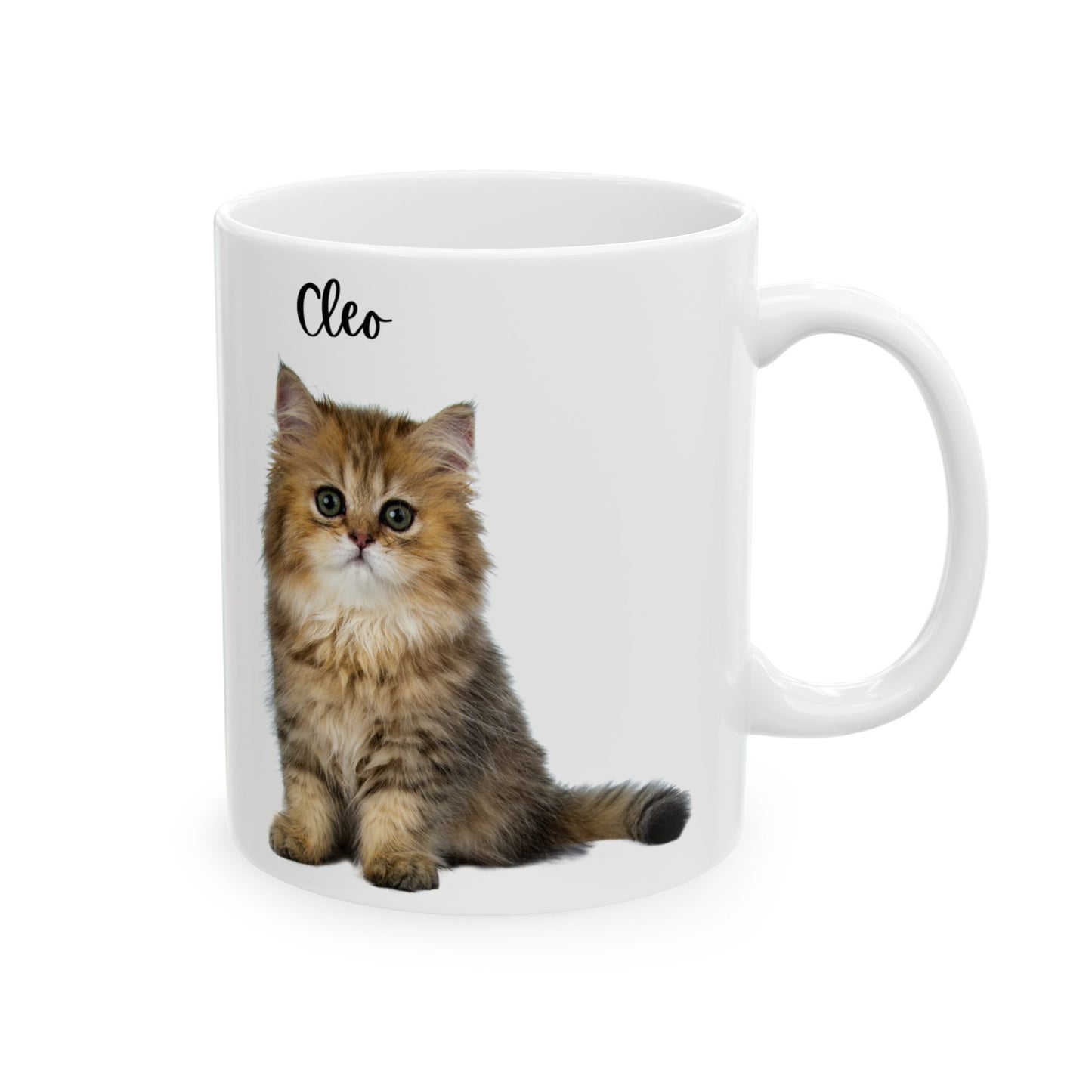 Cute Cat Ceramic Mug - Personalized Pet Lover Gift for Cat Owners, Coffee Cup, Cat Lover Mug, Customized Mug, Funny Animal Gift - 14202