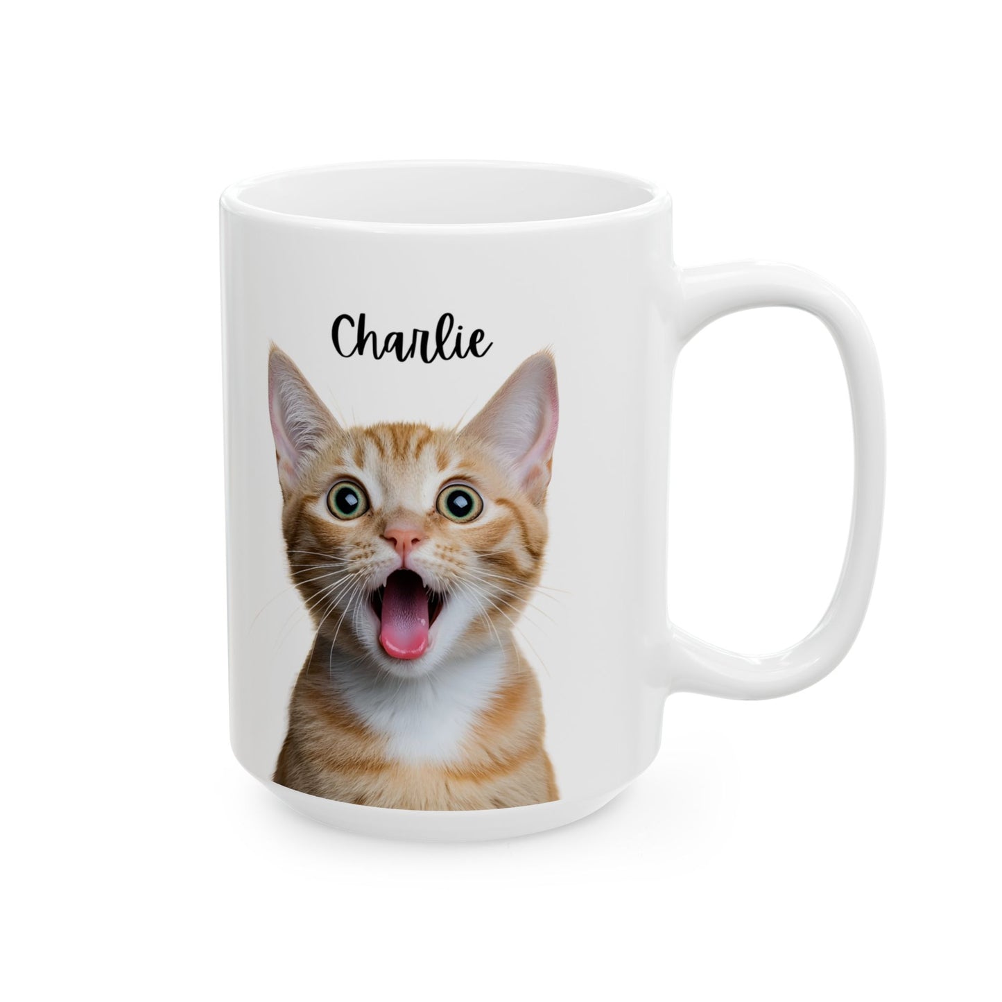 Cute Cat Ceramic Mug, Funny Pet Lover Gift, Cat Mom Coffee Cup, Animal Lover Mug, Personalized Drinkware - 14193