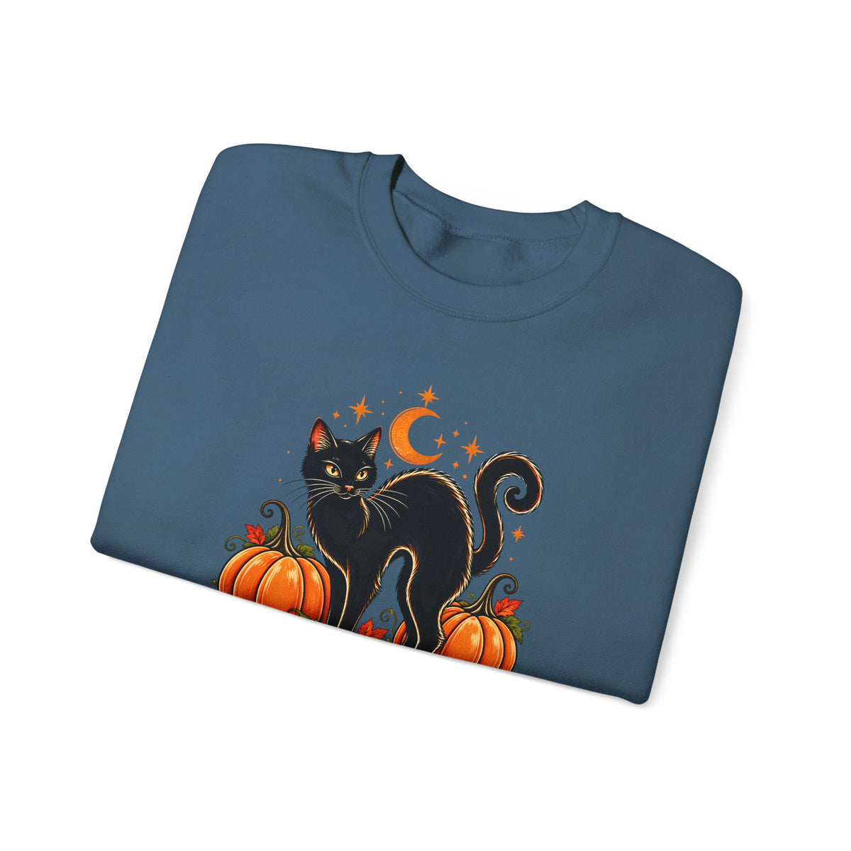 Halloween Black Cat & Pumpkins Sweatshirt, Vintage Autumn Crewneck - 14521